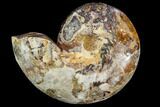 Sliced, Agatized Ammonite Fossil (half) - Jurassic #110743-1